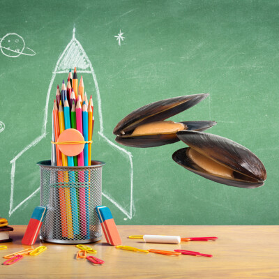 La Braderie de Lille cover