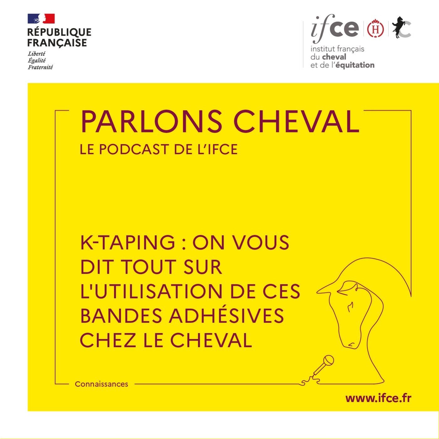 Ép. 86 | K-taping : on vous dit tout sur l'utilisation de ces bandes adhésives chez le cheval - Isabelle Burgaud