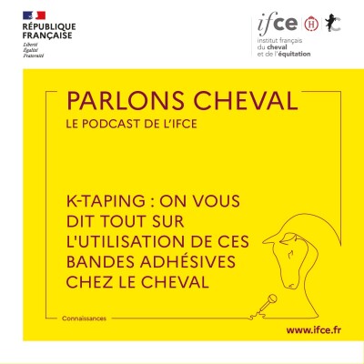 Ép. 86 | K-taping : on vous dit tout sur l'utilisation de ces bandes adhésives chez le cheval - Isabelle Burgaud cover
