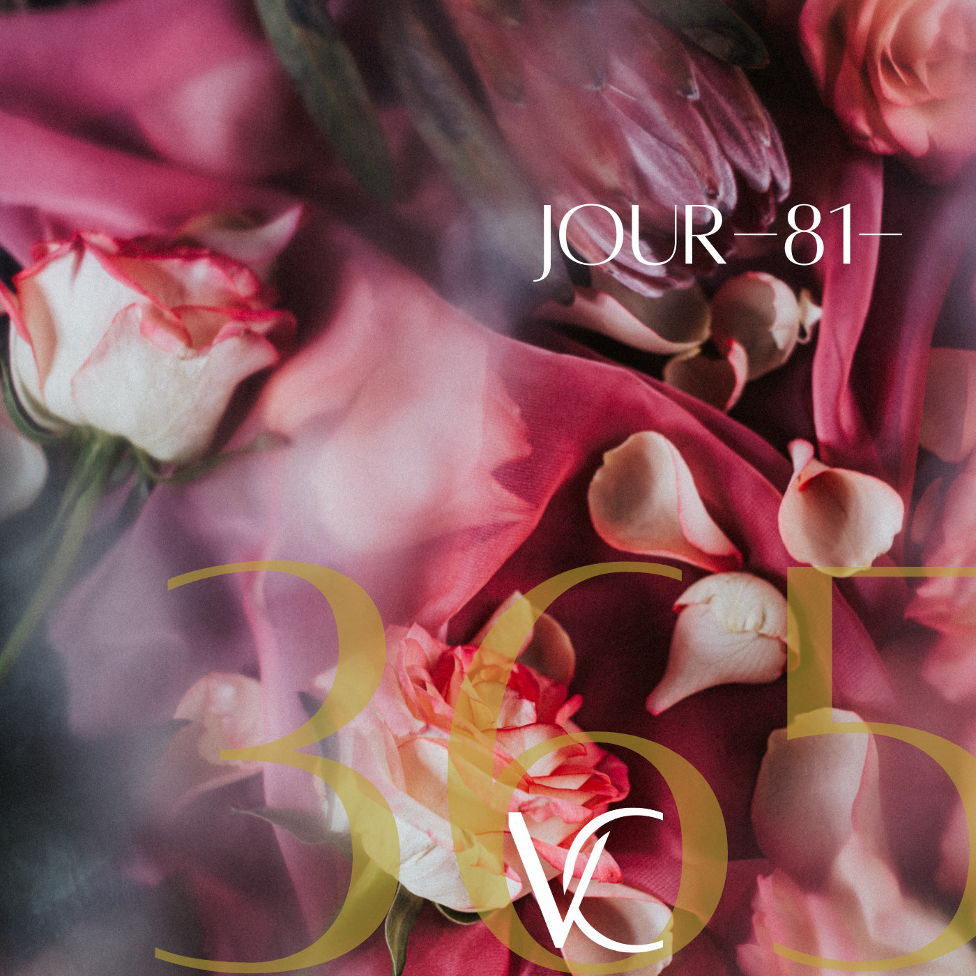 LIVE 365 by Valérie Carchi