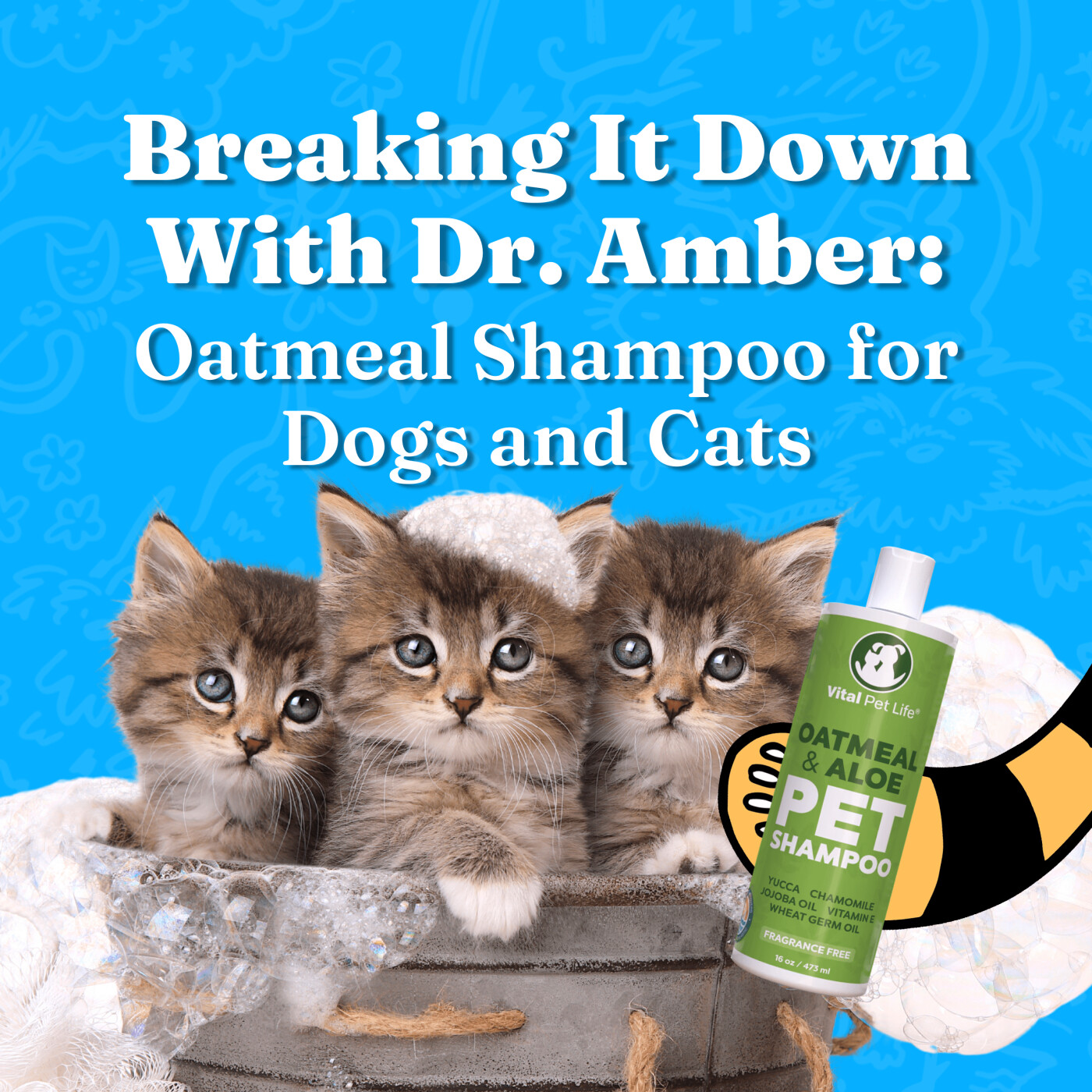 Breaking It Down with Dr. Amber: Oatmeal Shampoo for Dogs and Cats episode artwork