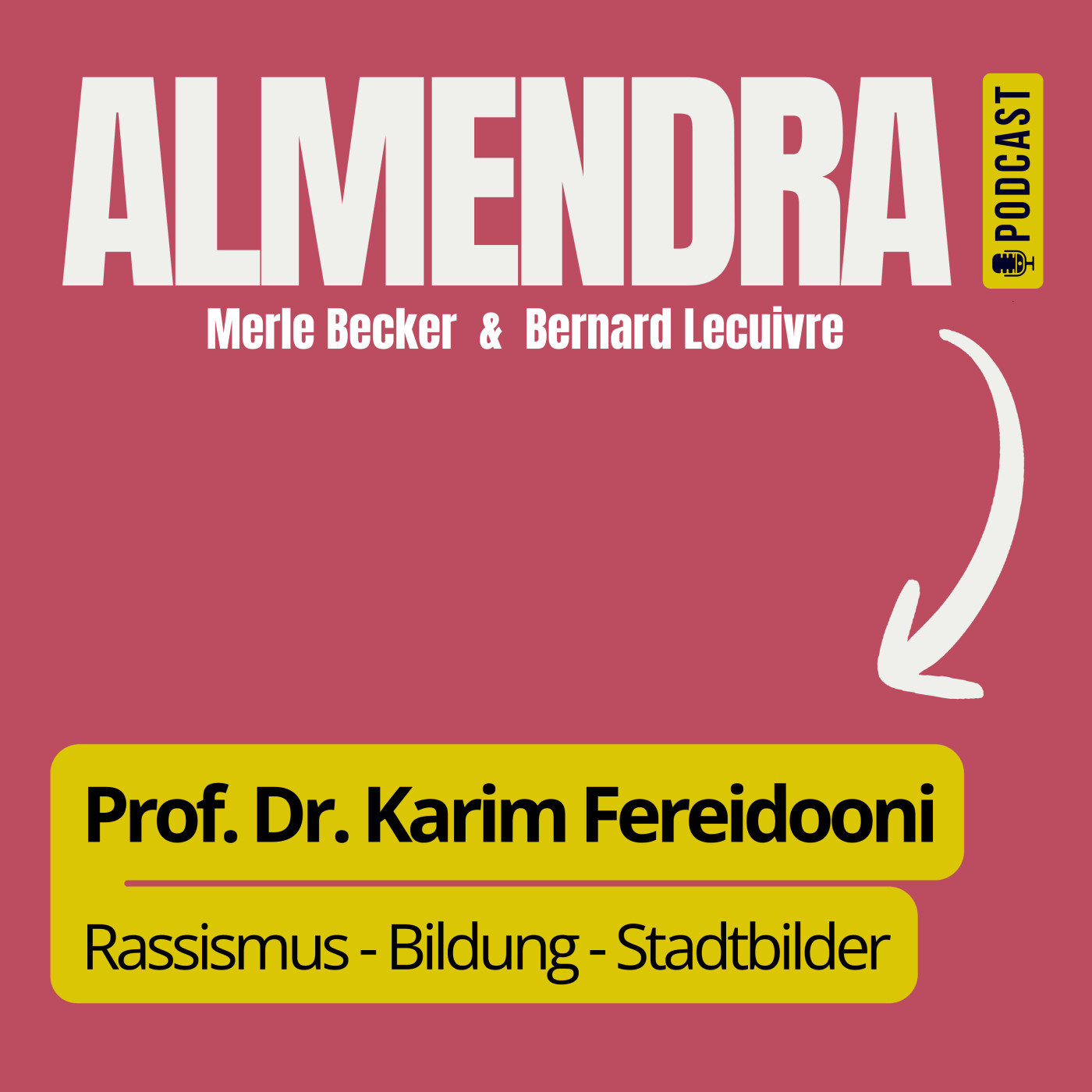 DE - Prof. Dr. Karim Fereidooni: Rassismus - Bildung - Stadtbilder episode artwork