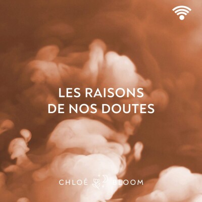 Les raisons de nos doutes cover