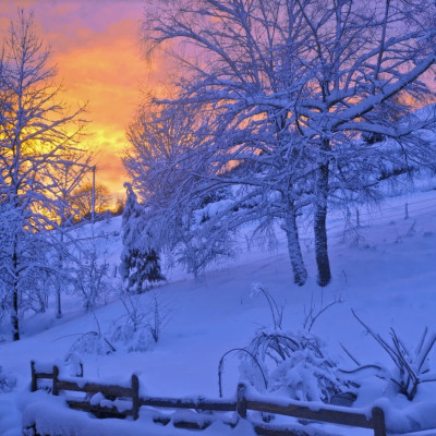 Cap à l'Ouest... de Strasbourg ! cover