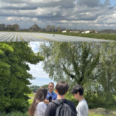 Le maraichage dans les polders de la Baie avec Sylvain Massin par Anaïs, Nathanaël et Mohamed (semaine du 13 août). cover