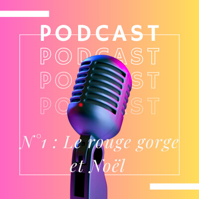 L'oiseau qui a volé Noël : La véritable histoire du Rouge-gorge cover