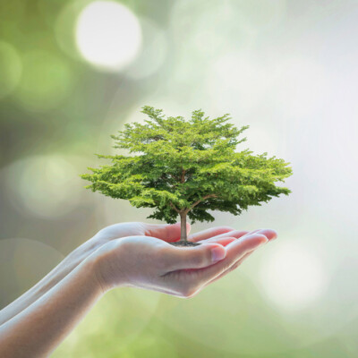 Investir durablement cover