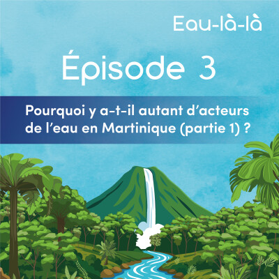 Épisode 3 - Pourquoi y a-t-il autant d’acteurs de l’eau en Martinique (partie 1) ? cover