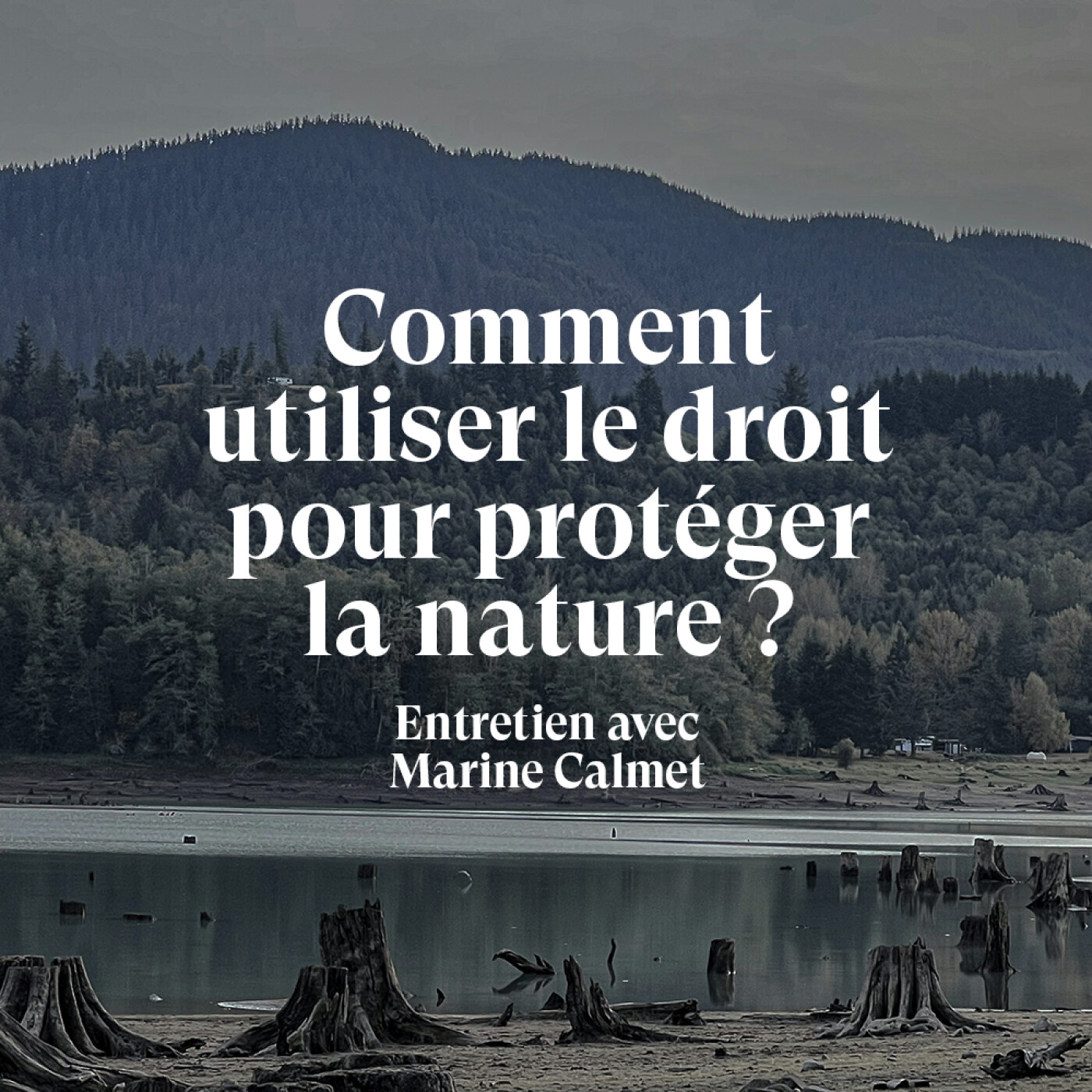 Comment utiliser le droit pour protéger la nature ? – Entretien avec Marine Calmet, juriste en droit de l’environnement