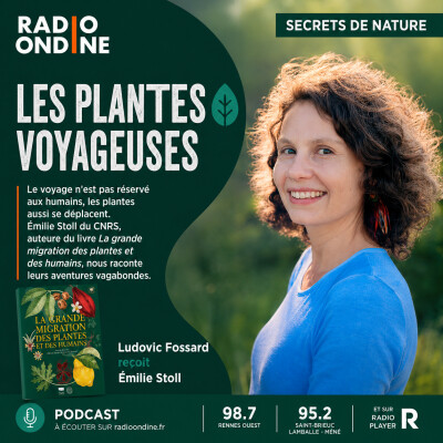 Les plantes voyageuses cover