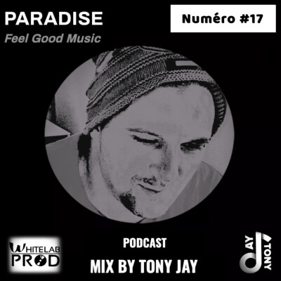 PARADISE #17 cover