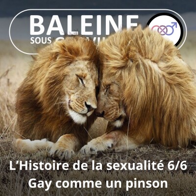 S05E55 Histoire de la sexualité 6/6 : Et l'homosexualité ? (Pierre-Henri Gouyon) cover