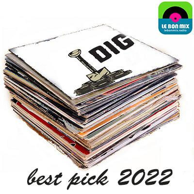 MR T - Dig - Best Pick 2022 cover