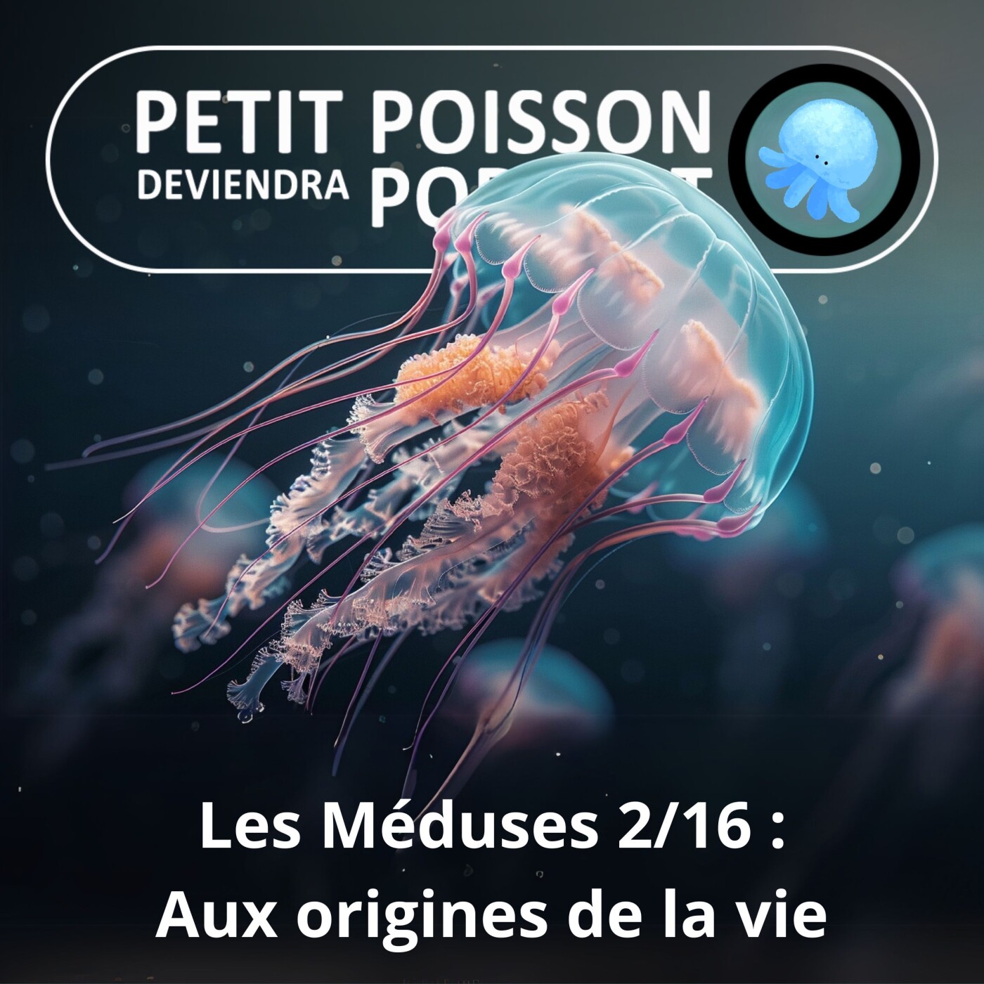 Petit Poisson deviendra Podcast