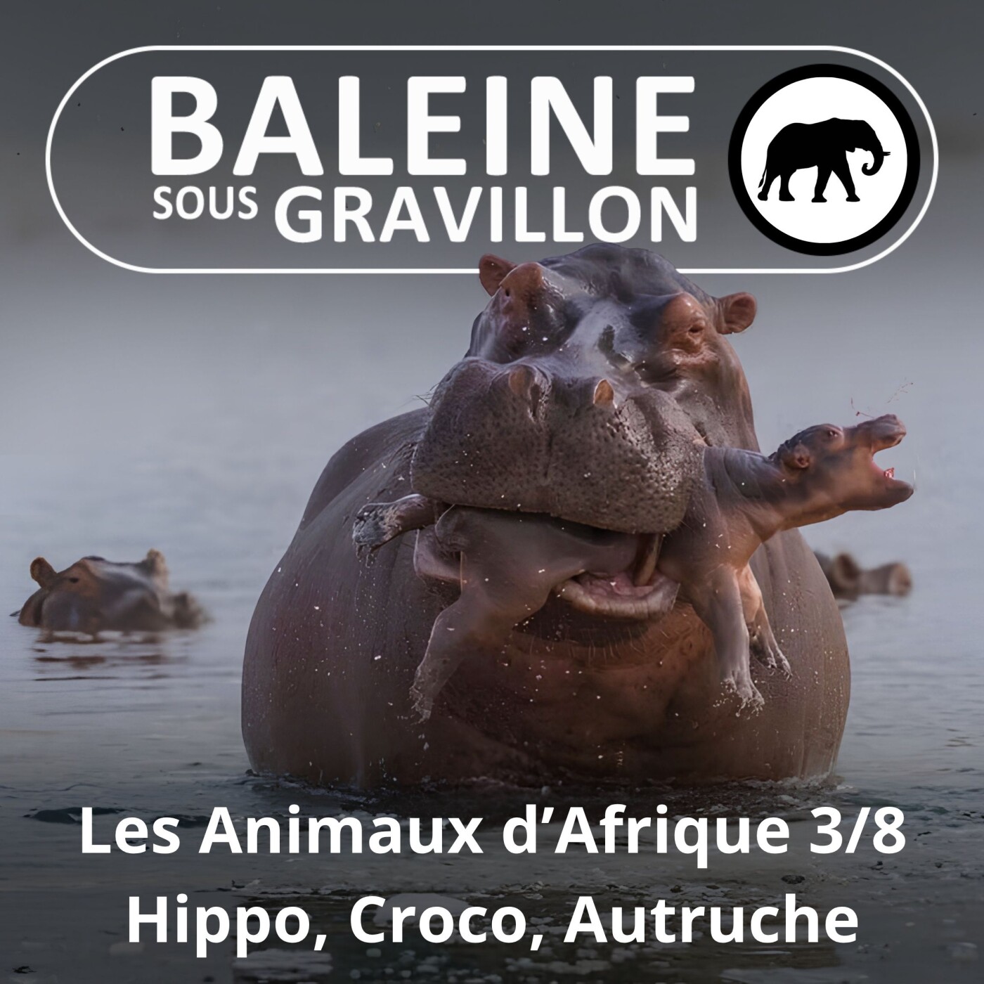 S02E76 Les Animaux d'Afrique 3/8 : Hippo, Croco, Autruche... episode artwork