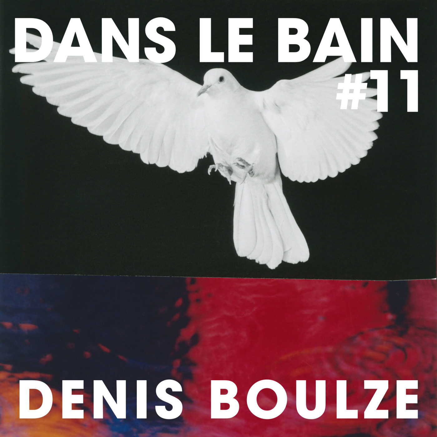 Dans le Bain #11 - Denis Boulze episode artwork