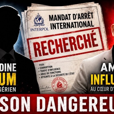 3 convocations ignorées et une fuite suspecte : Le scandale Salah Eddine Selloum / Amir DZ cover