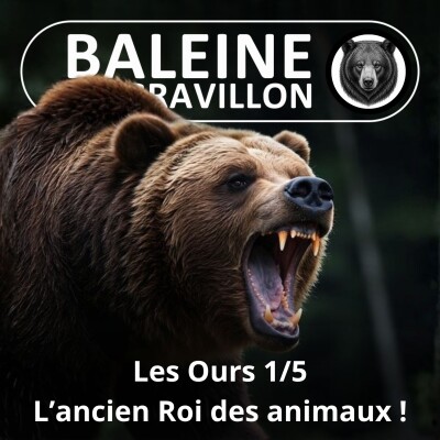 S05E22 Les Ours 1/5 : L'ancien roi des animaux, cet "autre" de l'humain (Rémy Marion) cover