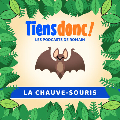 La chauve-souris, reine d'Halloween cover
