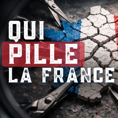 Le ZOOM du Cercle # 10 : Qui pille la France ? Décryptage d'une guerre économique - P. Murer & D. Teuscher - # politique cover