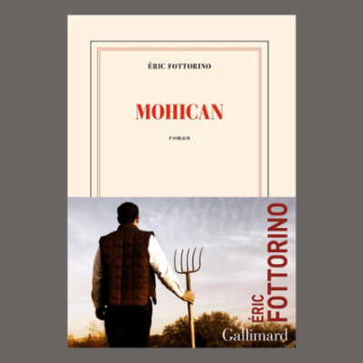 Eric Fottorino - Mohican cover