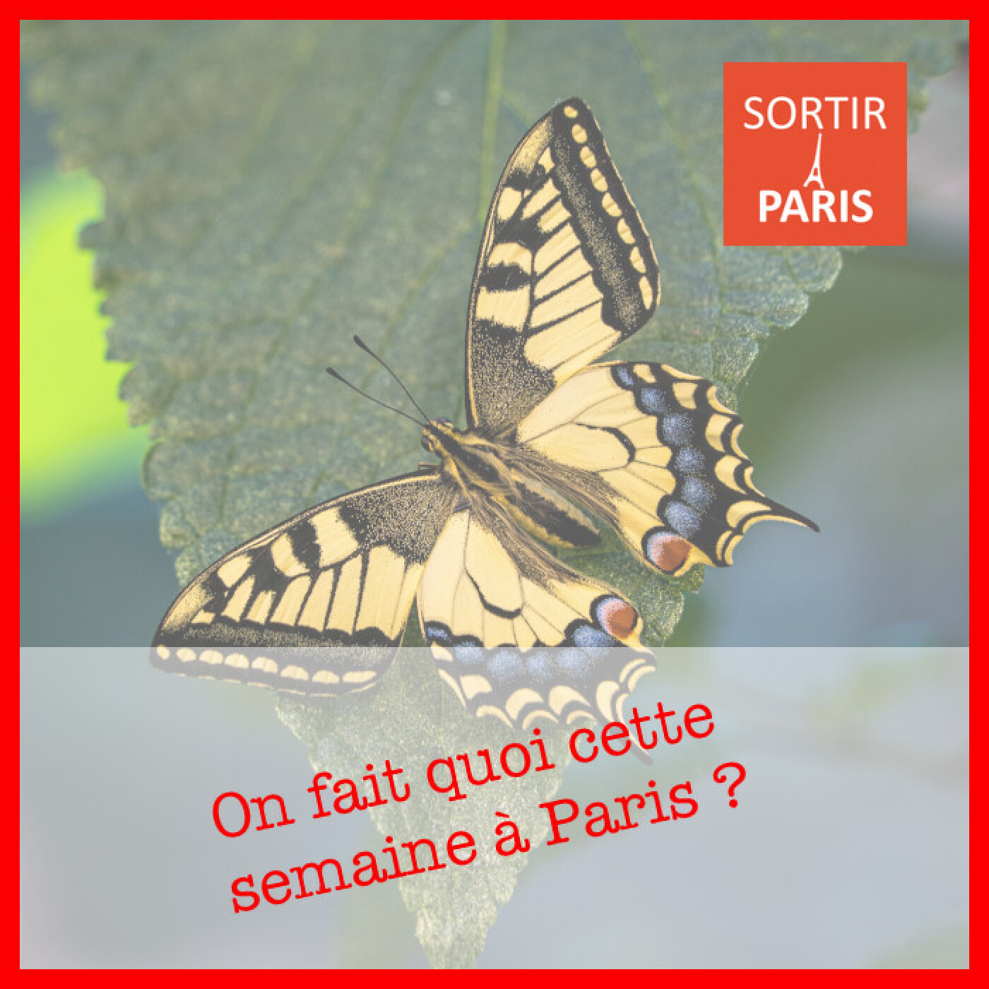 Sortiraparis.com