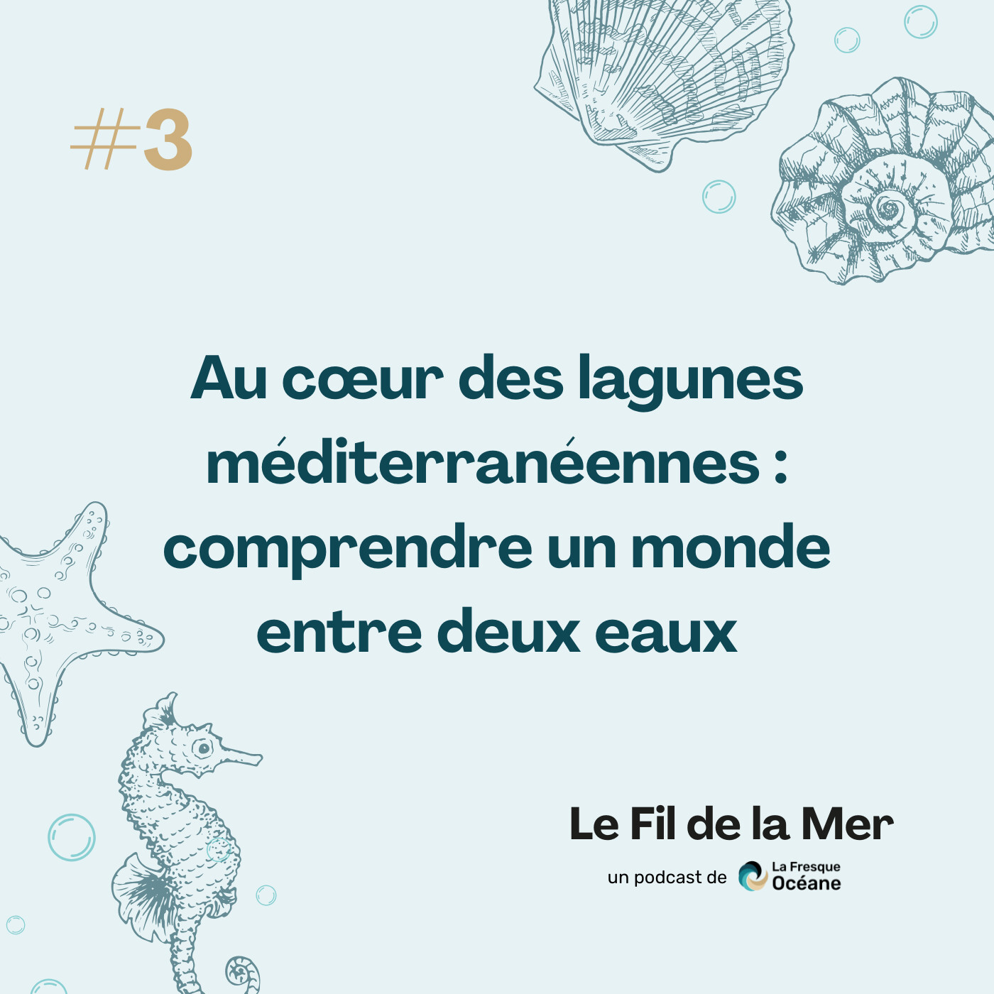 Le Fil de la Mer