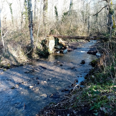 60 - Averdon, La Cisse à Sec. Invité: Didier Moëlo cover