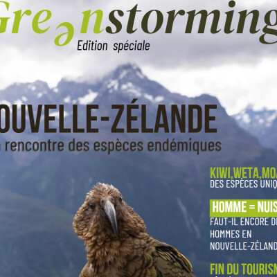 Nouvelle Zélande cover