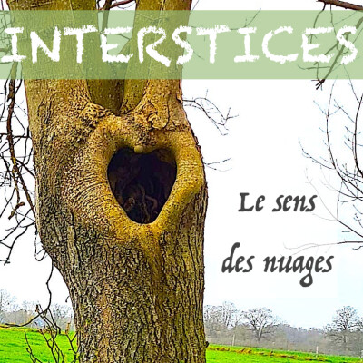 Le sens des nuages cover