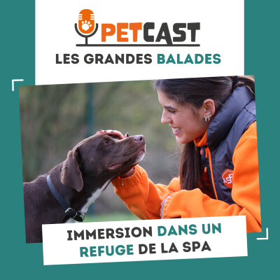 Une journée dans un refuge SPA cover
