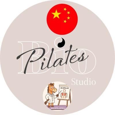 🇨🇳 🏇  肩胛骨的动态稳定与运动 - Stott Pilates Scapula Placement cover