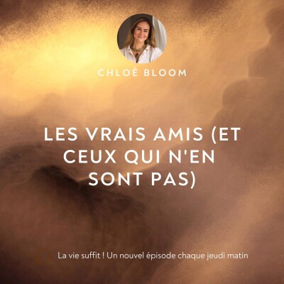 Les vrais amis (et ceux qui n'en sont pas) cover