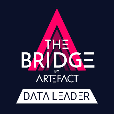 The Bridge - Data Leaders cover
