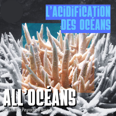 L'Acidification des océans cover
