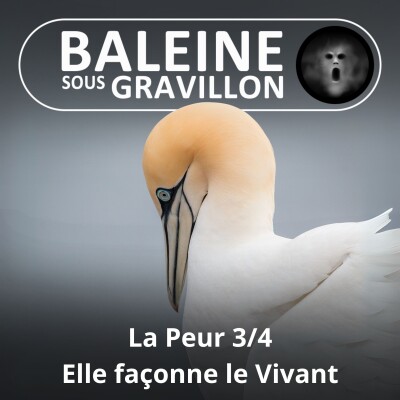 S06E03 La peur 3/4 : Elle façonne le Vivant, comment ? cover
