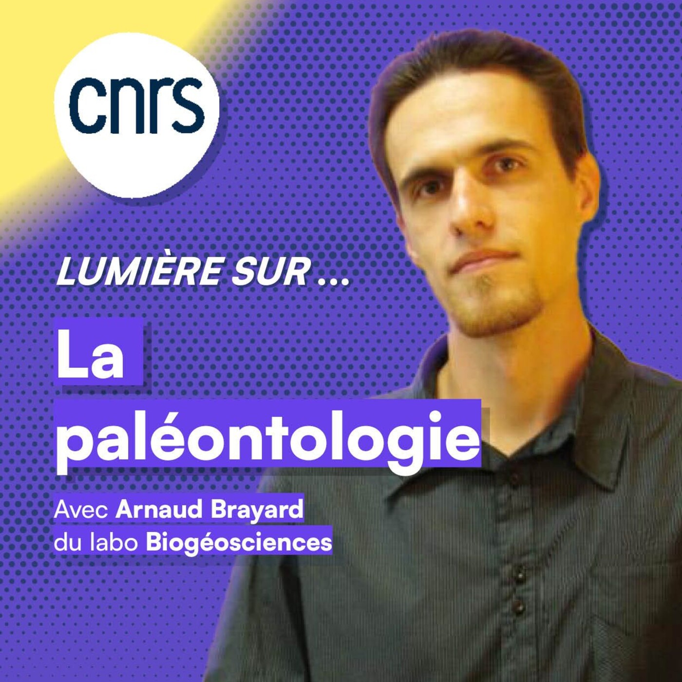 Lumière sur... La paléontologie episode artwork
