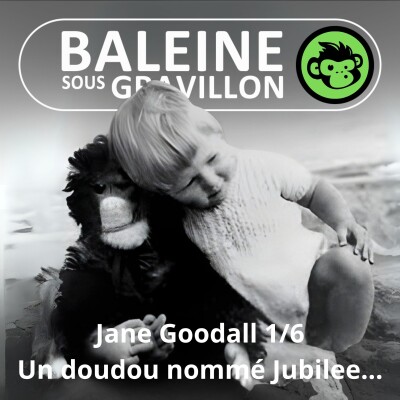 S07E21 Jane Goodall 1/6 : Il était une fois un doudou nommé Jubilee (Emmanuelle Grundmann) cover