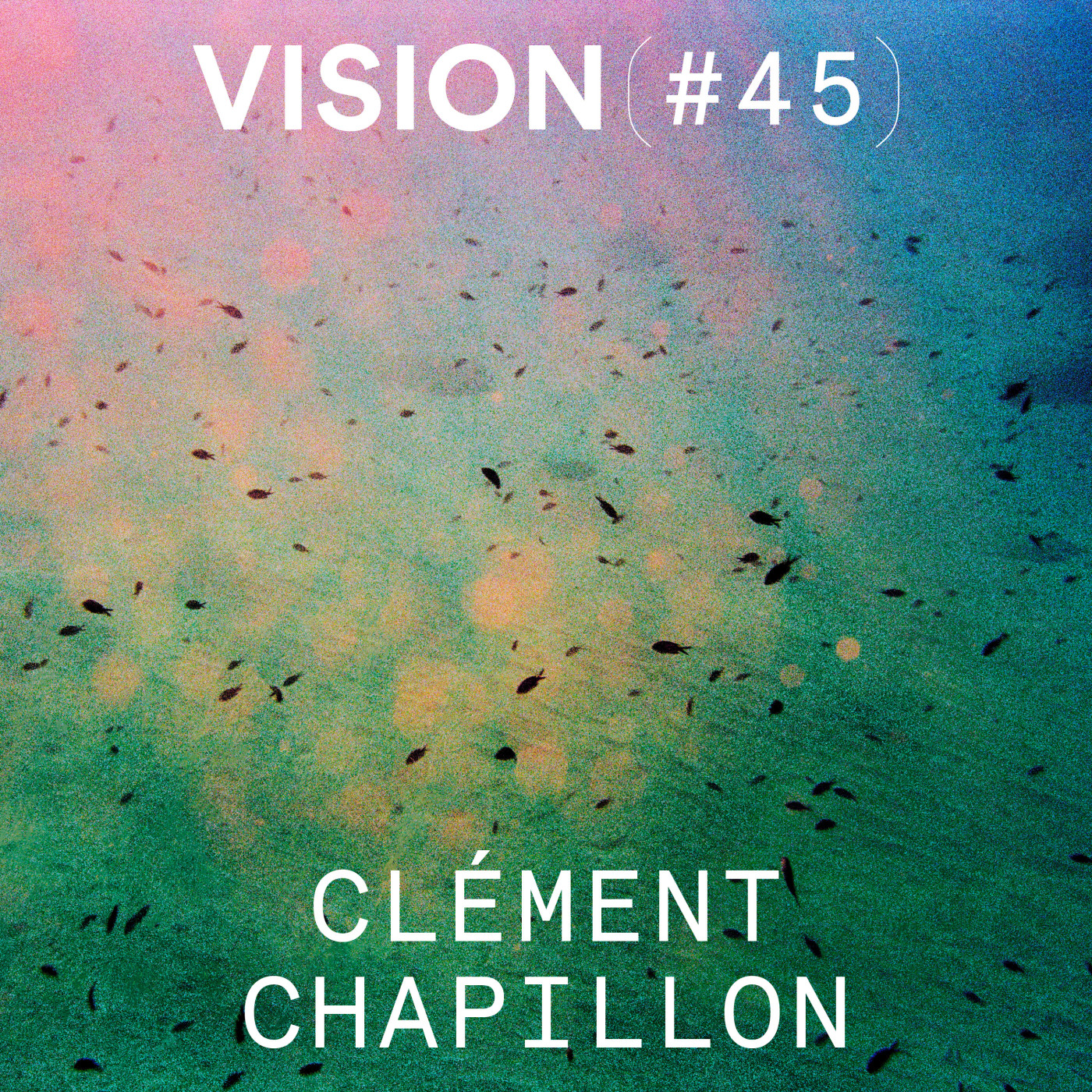 VISION #45 â CLĂMENT CHAPILLON | « En photographiant, je cherche Ă partir ailleurs »