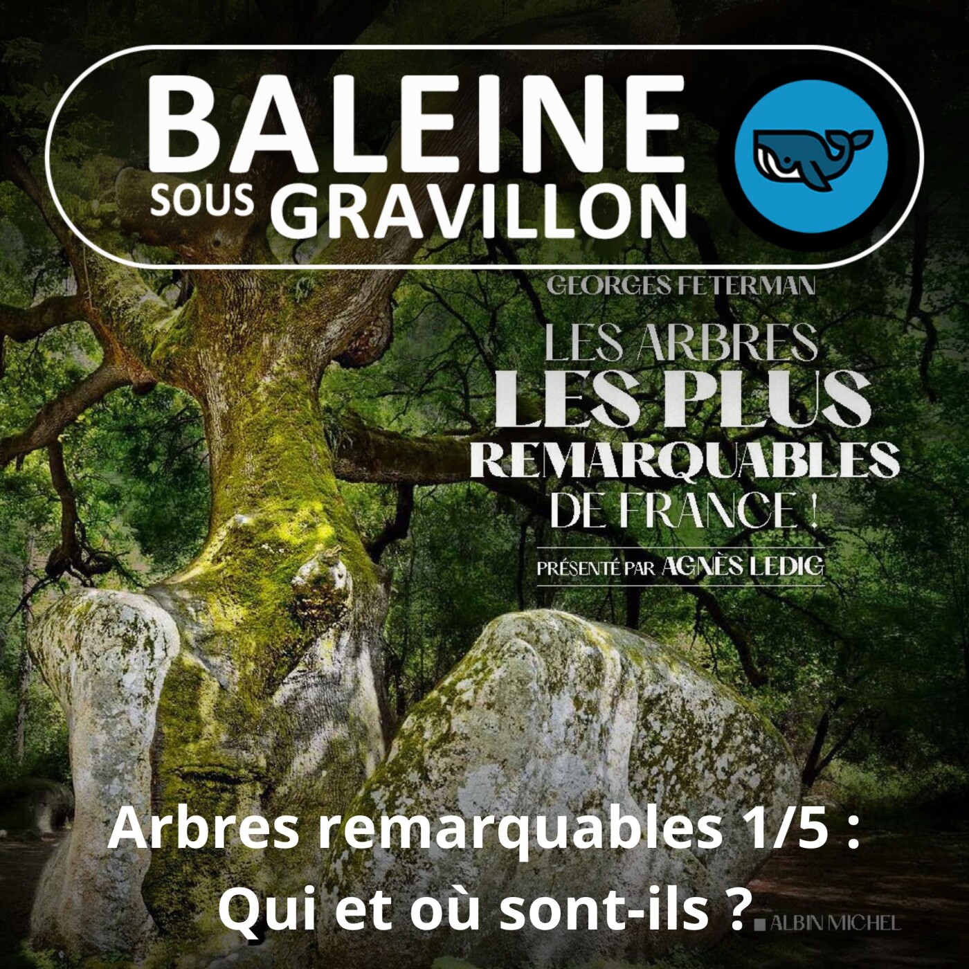 S05E61 Arbres remarquables 1/5 : Qui et où sont-ils ? (Georges Feterman)
