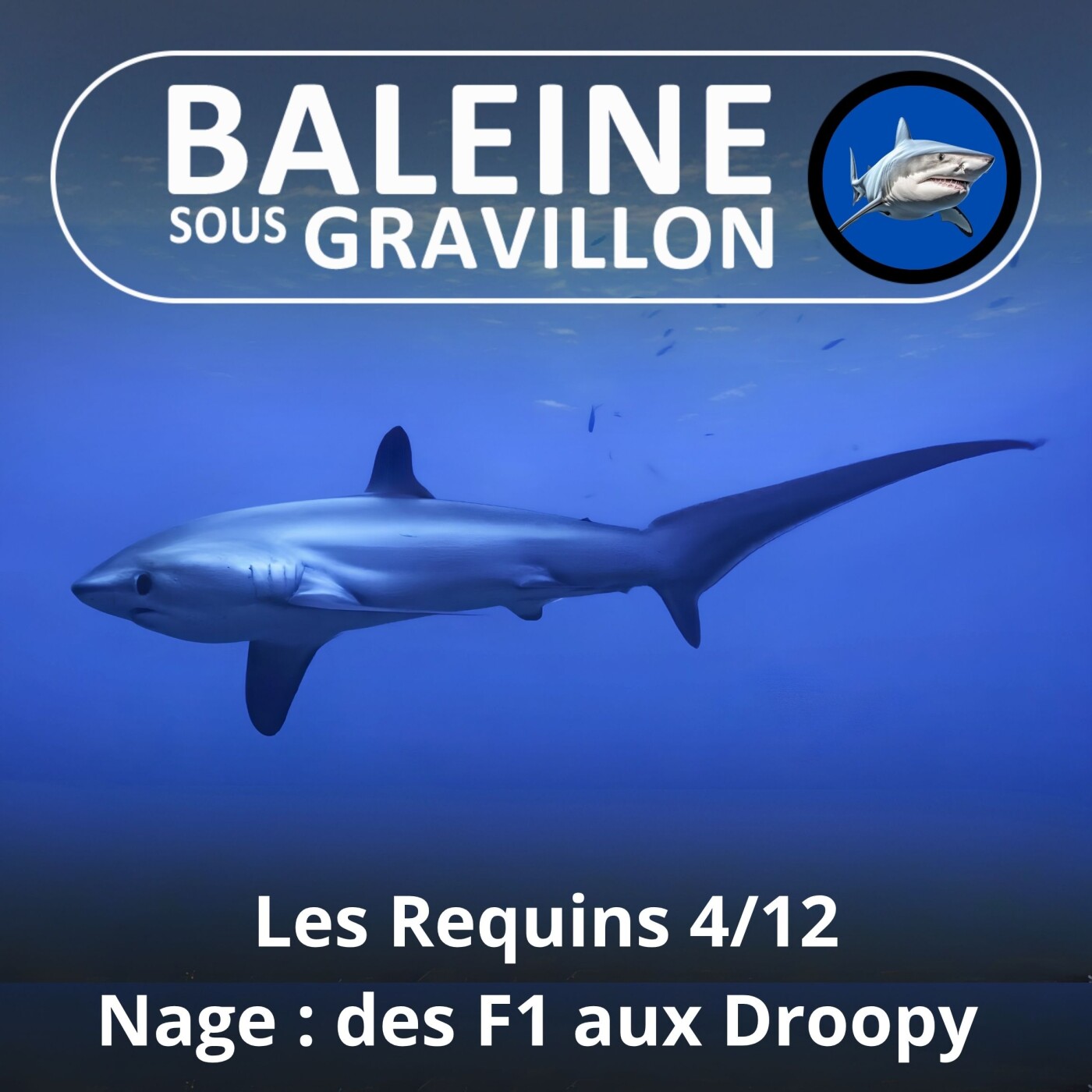 S04E08 Requins 4/12 : Des F1 aux Droopy (Steven Surina) episode artwork