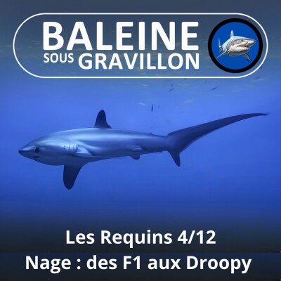 S04E08 Requins 4/12 : Des F1 aux Droopy (Steven Surina) cover