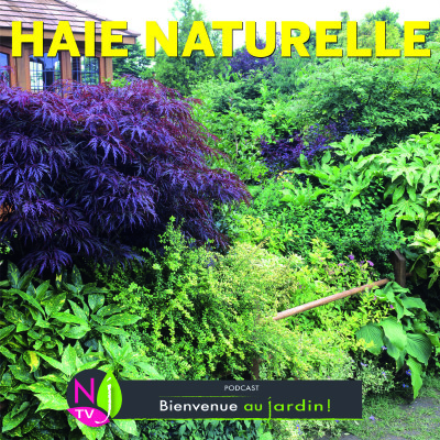 PAROLES D'EXPERTS: UNE HAIE BIOFONCTIONNELLE, ÉCOLOGIQUE ET DURABLE cover