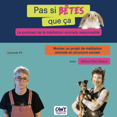 Episode 3 - Mailys Pillet-Gérard, assistante sociale au SAMU Social de Lyon cover