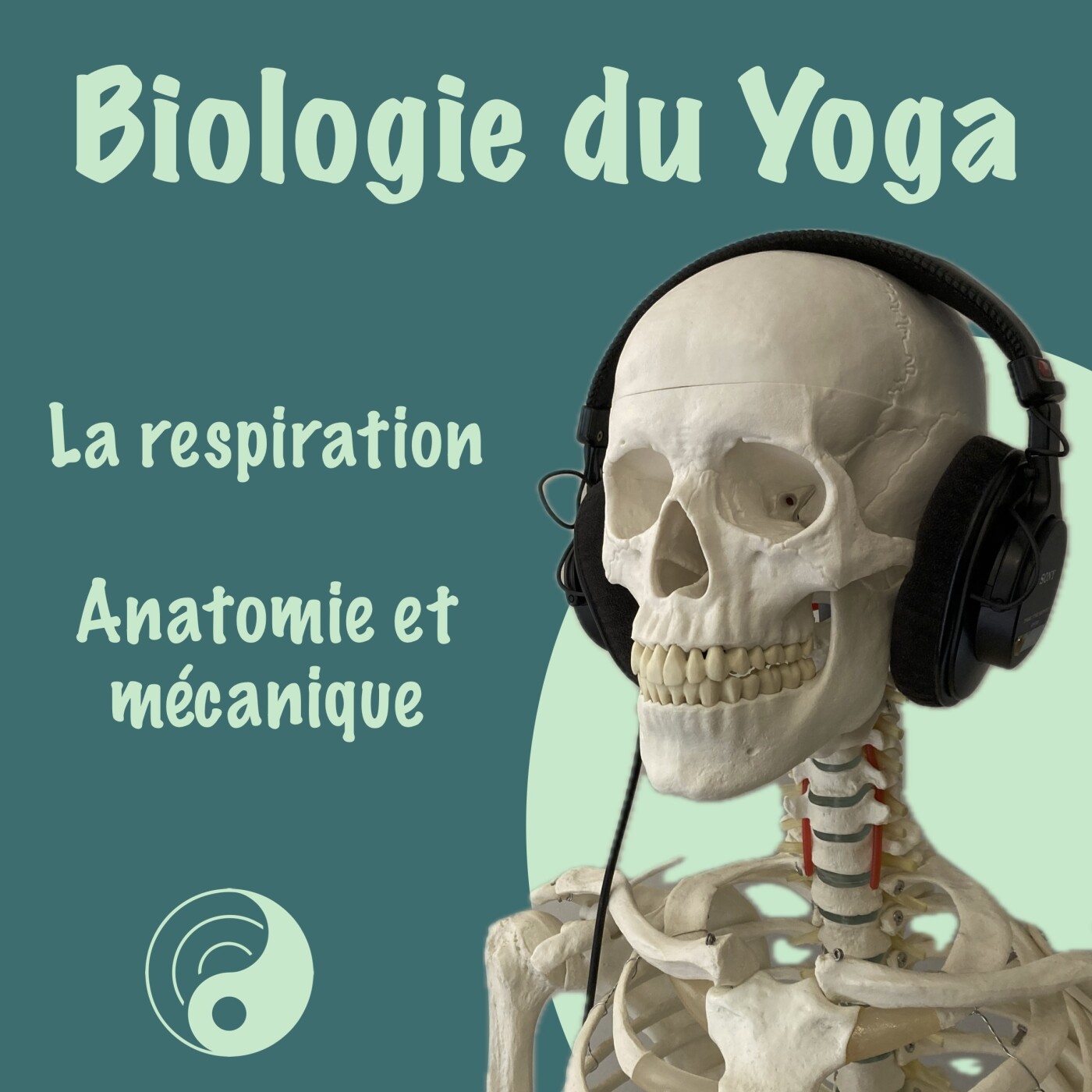 Respiration 1/5 - Anatomie et Mécanique Respiration 1/5 - Anatomie et Mécanique
