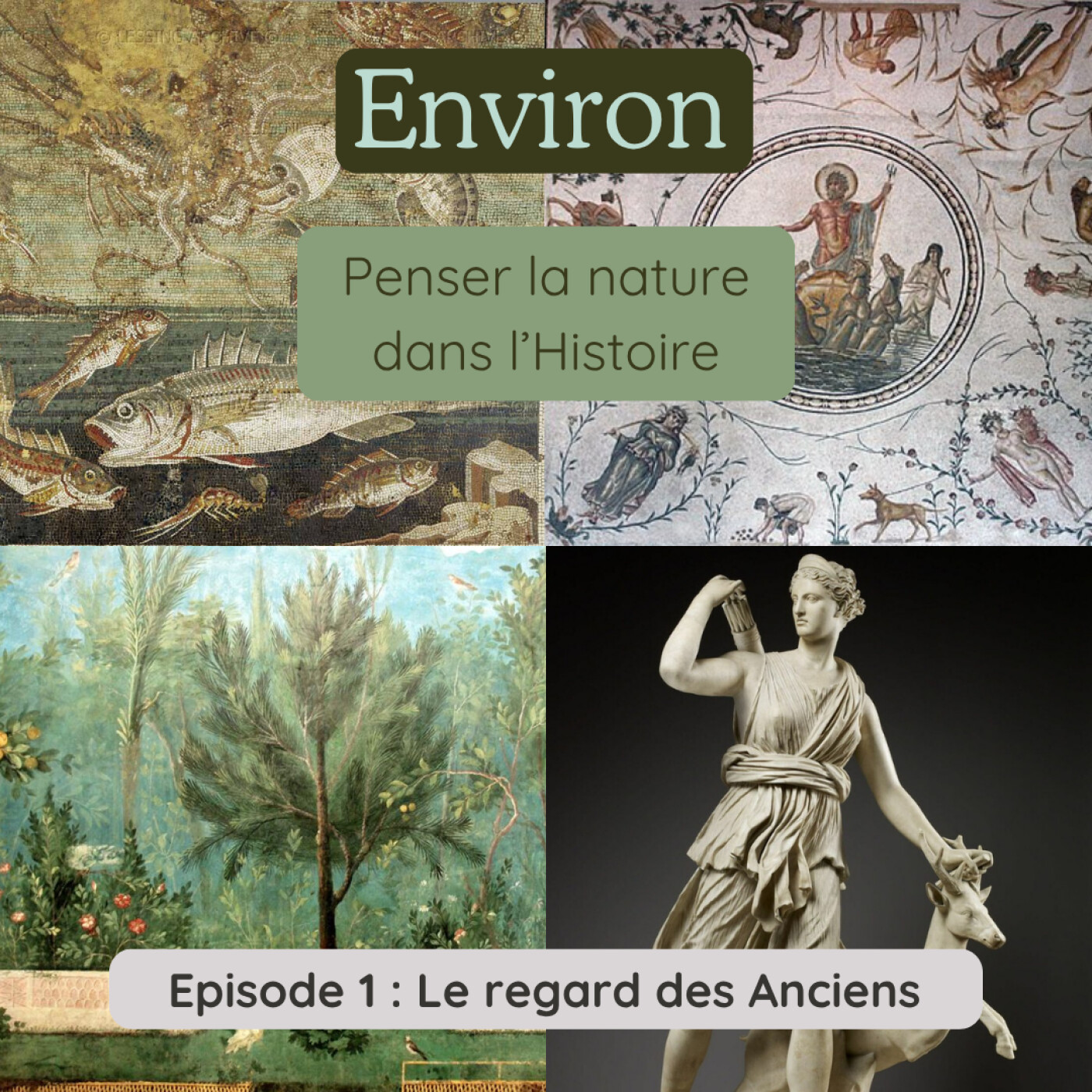 Environ