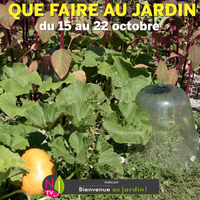 QUE FAIRE DANS LE JARDIN DU 15 AU 22 OCTOBRE ? cover