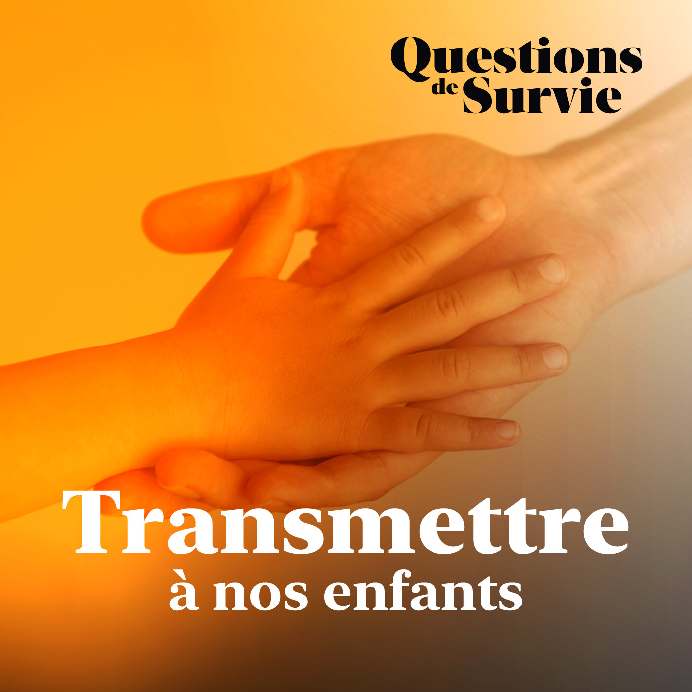 Questions de Survie