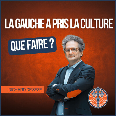 Culture : la gauche a tout pris… et maintenant ? – Richard de Seze cover