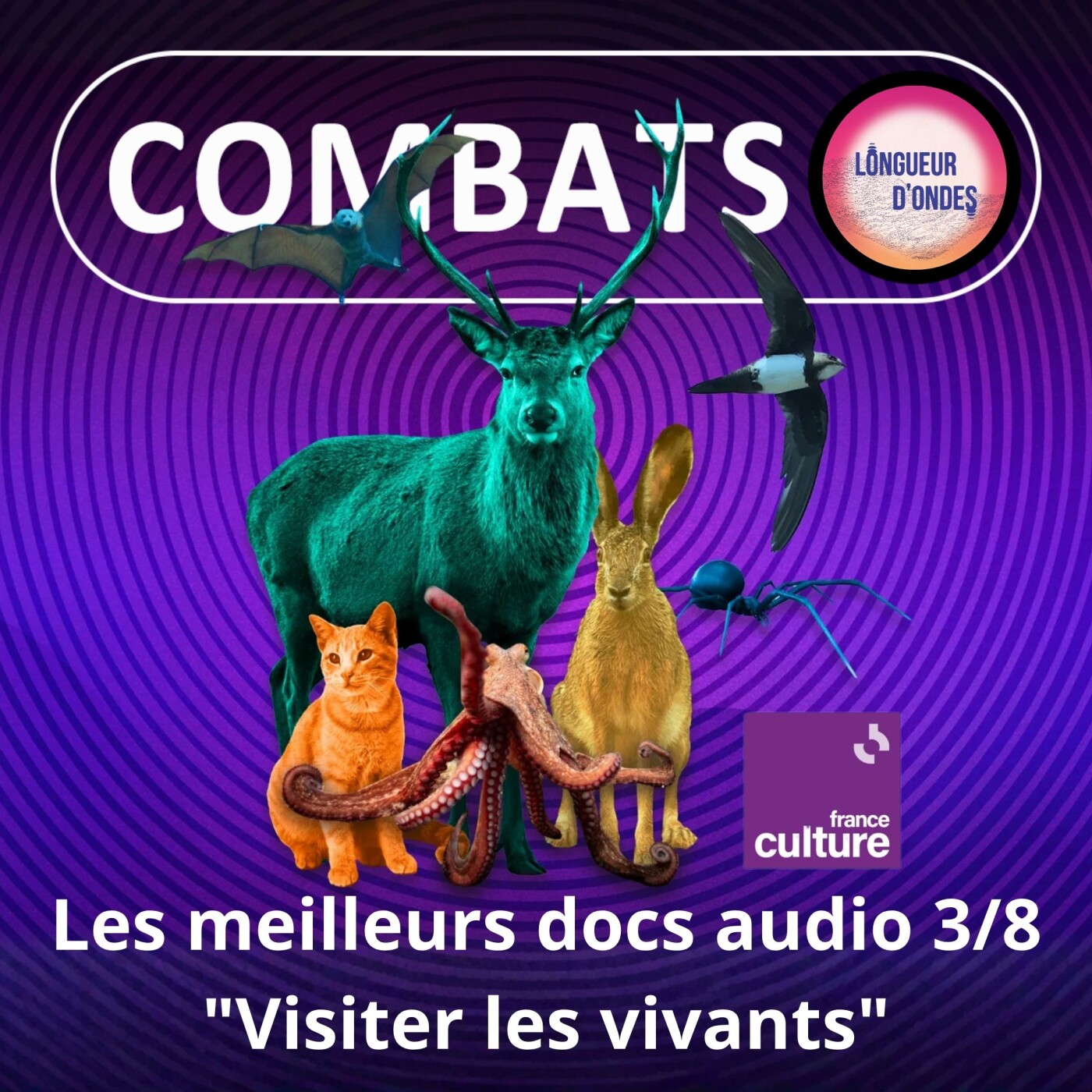 S05E79 Festival Longueur d'ondes 3/8 : "Visiter les vivants" par le son (Franck Bessière)